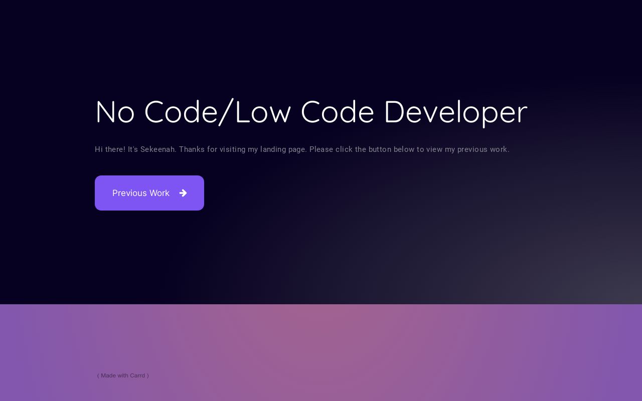 Low Code Developer